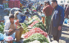 Inflation at 17.96% Key Price Increases and Decreases for Essentials