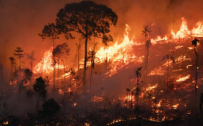 Sao Paulo Faces Severe Wildfire Crisis Amid Extreme Heat and Drought