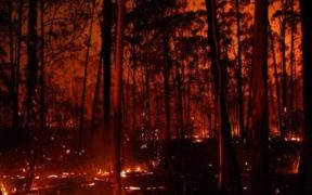 Arson Suspected in Devastating Amazon Fire Amid Drought and Climate Change