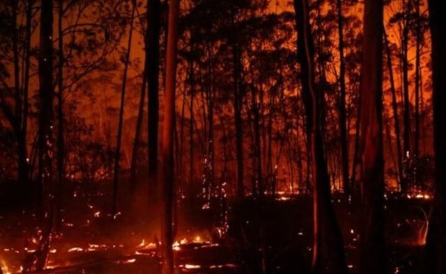 Arson Suspected in Devastating Amazon Fire Amid Drought and Climate Change