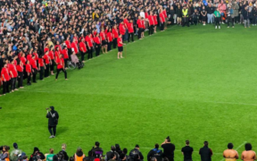 Unity Through Haka A Record-Breaking Celebration of Māori Heritage