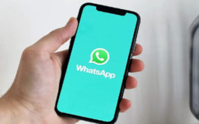 WhatsApp iOS Update GIPHY Stickers & Media Viewer Enhancements