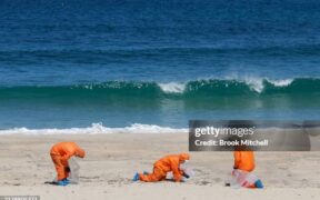 Bondi and Nearby Beaches Closed Amid Mystery Oil Debris Concerns