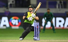 Matthew Wade Retires Career Highlights and Coaching Plans