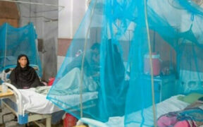 Dengue Outbreak 104 New Cases in Rawalpindi