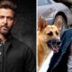 Hrithik Roshan Buys Rights for Bollywood I Am Legend Adaptation