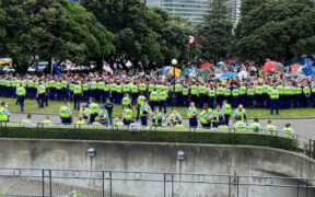 New Zealand's Treaty Bill Sparks Nationwide Protest March