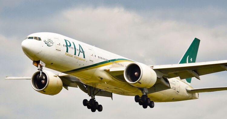 PIA Privatization Challenges Lessons and Future Plans