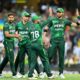 Pakistan Downs Australia in Rain-Shortened T20I