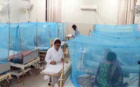 Punjab Dengue Cases Surge 5,921 Affected 175 Hospitalized