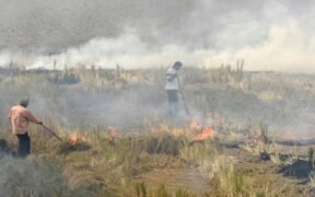 Punjab's Farm Fires Surge Raising Smog Levels in New Delhi