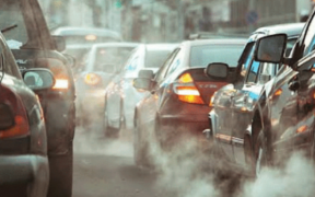 Punjab Acts on Smog Fines Closures Awareness