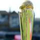 Champions Trophy 2025 India’s Refusal Delays Schedule