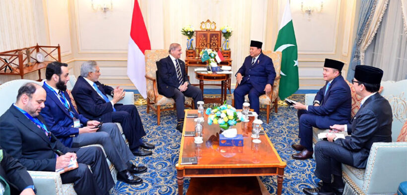 PM Shehbaz Indonesia's Prabowo Discuss Trade ASEAN and Palestine