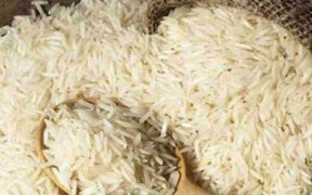 Pakistan Rice Exports Surge 34.64% in 2024 Earning $1.515 Billion