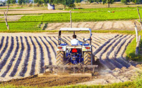 Pakistan's Agriculture Fertilizer and Chemical Imports Surge in FY 2024