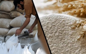 Karachi Sets Wheat Flour Prices Fine Flour at Rs 92/kg Chakki Flour at Rs 115