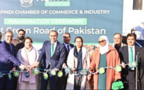 RCCI Hosts Climate Action Summit with Green Road Initiative