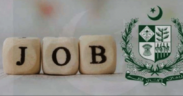 Pakistan Cabinet Approves Job Cuts Audits and Rightsizing