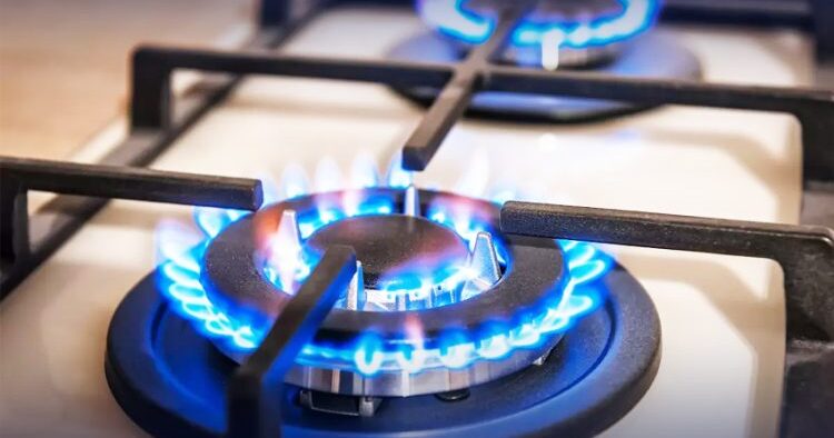 Malik on Gas Ban Diesel Smuggling & Fuel Digitalization