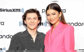 Tom Holland Zendaya Delay Wedding Plans