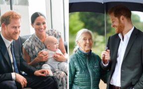 Harry and Meghan Pay Tribute to Jane Goodall Following Her Death