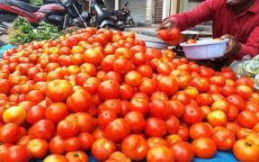 Tomato Prices Surge 46% in Pakistan Amid Rising Weekly Inflation